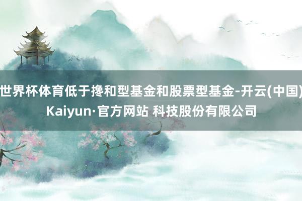 世界杯体育低于搀和型基金和股票型基金-开云(中国)Kaiyun·官方网站 科技股份有限公司