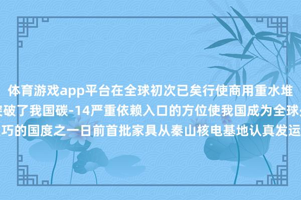 体育游戏app平台在全球初次已矣行使商用重水堆机组批量出产碳-14突破了我国碳-14严重依赖入口的方位使我国成为全球少数掌抓碳-14量产技巧的国度之一日前首批家具从秦山核电基地认真发运投放市集标记着我国碳-14已矣从自主研发、自主出产到市集化供应全产业链领悟-开云(中国)Kaiyun·官方网站 科技股份有限公司